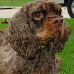 Quincy